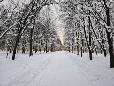 Зимняя прогулка по кусковскому парку с дегустацией нового пива Hoppyvox