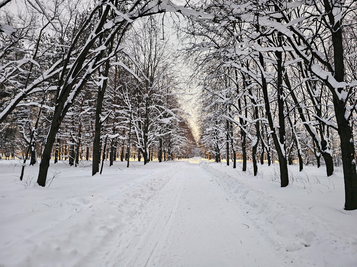 Зимняя прогулка по кусковскому парку с дегустацией нового пива Hoppyvox