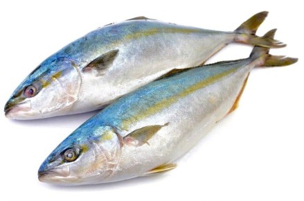 ������ ������ ������� �������: ������� ������������� � ������� �������