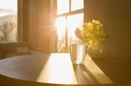 ��� ��������� ������� ���������� ����: ������ �� �����