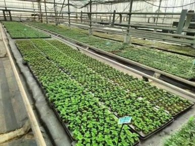 ���� �������: ������� �������� ����!. ��� � ��� �������, � ���� ���� ���������� ���������� ��� ��������� ��������� ��� ��������� ������� ����������� � ���������� ��������� ��������