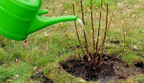 ��� ��������� ���������� ������� ���������� ������