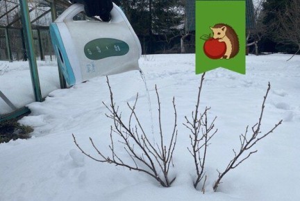 ����������� ������ ��������: 6 ���������������� ������, ������� ����� ��������� ���������