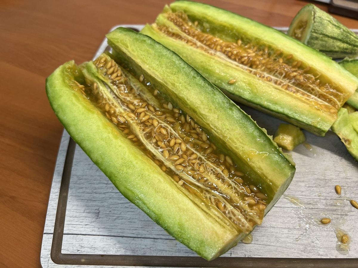 Необычный эксперимент: чем закончилась попытка вырастить огурдыню