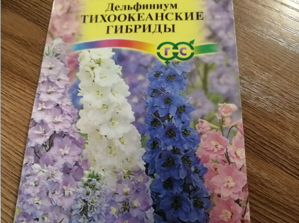Почему дельфиниумы больше не в цветнике: взгляд садовода
