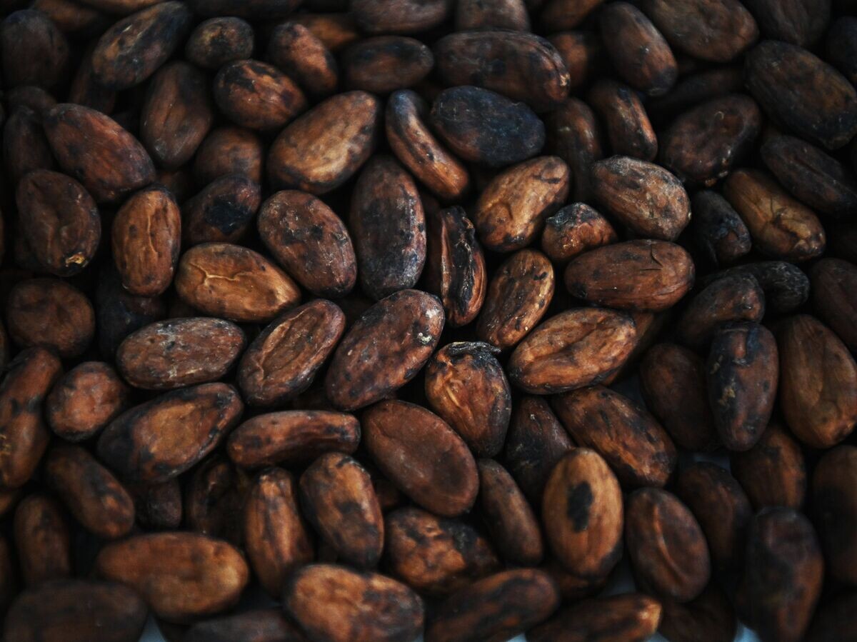 Цены на какао-бобы достигли нового рекорда падения