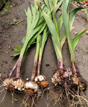 ����� � ��� ��������� ���������� ���������� ��� ��������