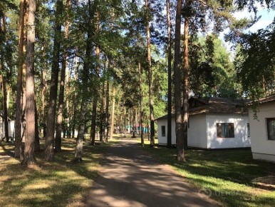 На путевки в лагеря для 4315 детей из Пензы направят 94 миллиона рублей