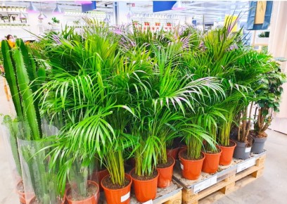 ��� ������� �������� ��� �������� ���� � ��������� ��������