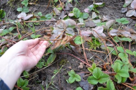 ��� �������� ������ ��������� �������� � ����� ��� �������� ������