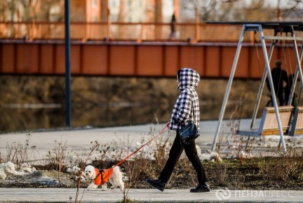 Тепло, но пасмурно и дождливо: пензенцам рассказали о погоде до 27 марта