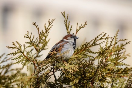 � ����� 24 ����� ��������� �� +11 ��������