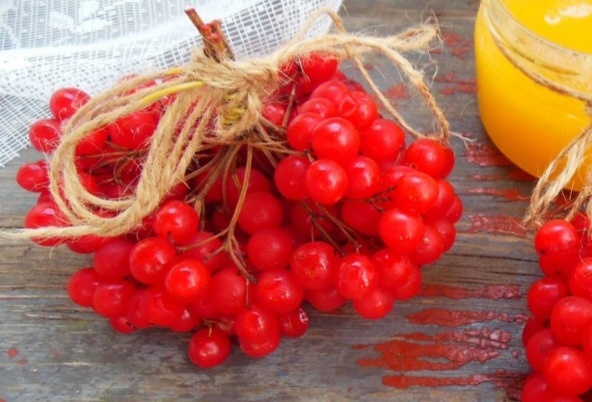 Непревзойденная Калина: Заготовка на зиму без варки