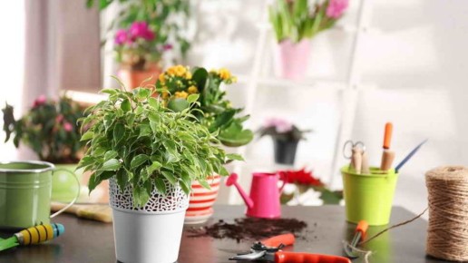 ��� �������� �������� ����������� ��� �������� ���