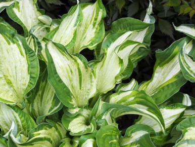 ��� �������� � ������ � ��������: 11 �������� ��� ������ ����