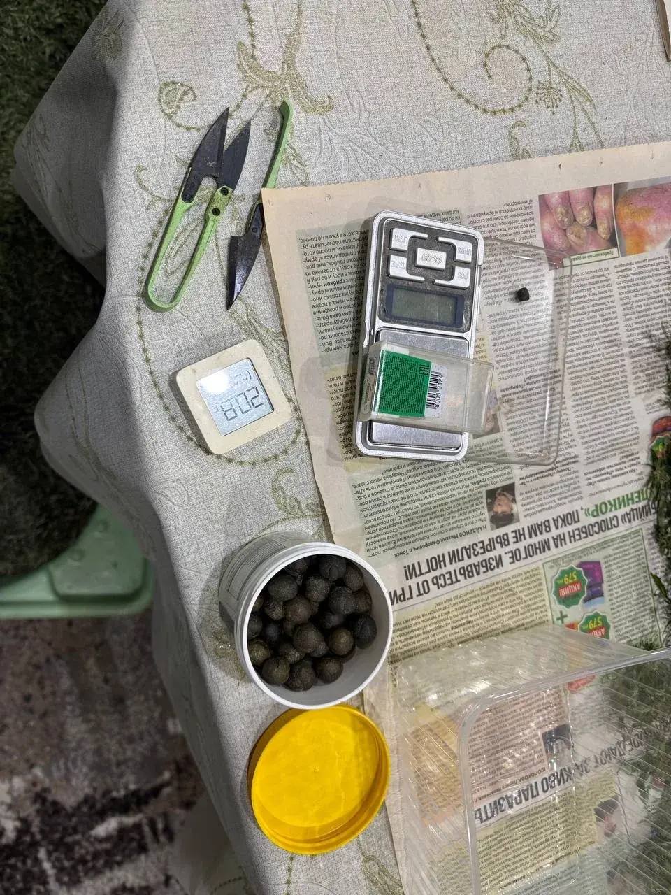 Пензенская полиция вышла на след оптового торговца марихуаной, задержав розничного наркокурьера Пензенская полиция вышла на след оптового торговца марихуаной, задержав розничного наркокурьера