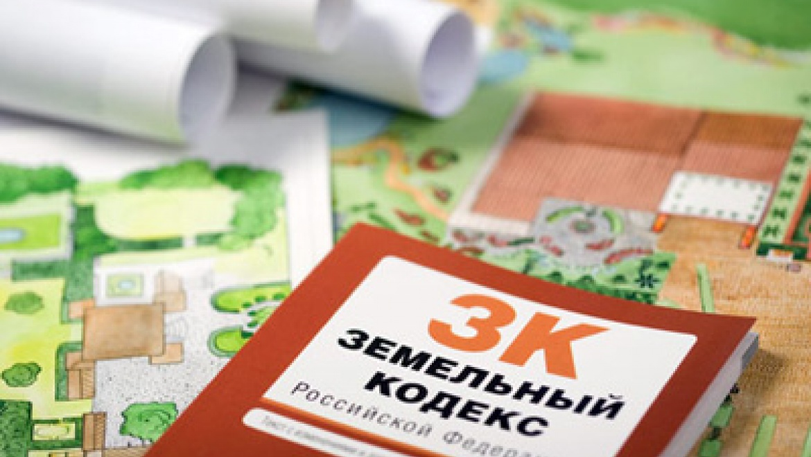 Новые правила для дачников: штрафы за инвазивные растения вступили в силу