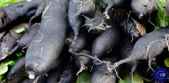 ����������: ������������ ��������� � ��� ���������� �������