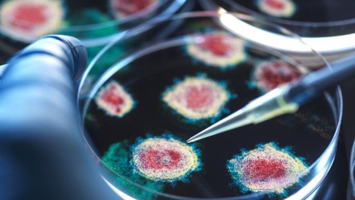 ������ ��������������: �������� ������������������ ����� �� ������ ����������������