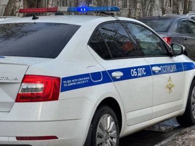 � ����� :