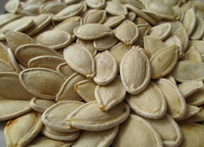 Как выбрать семена тыквы: советы для успешного урожая