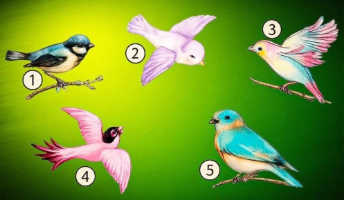 ��� ��� ����� ����� ����� ���������� � ����� ����� �����