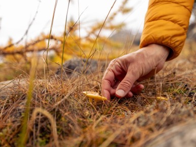 ��������� ������ �������: ������� � ������� ������ ��������� �����������