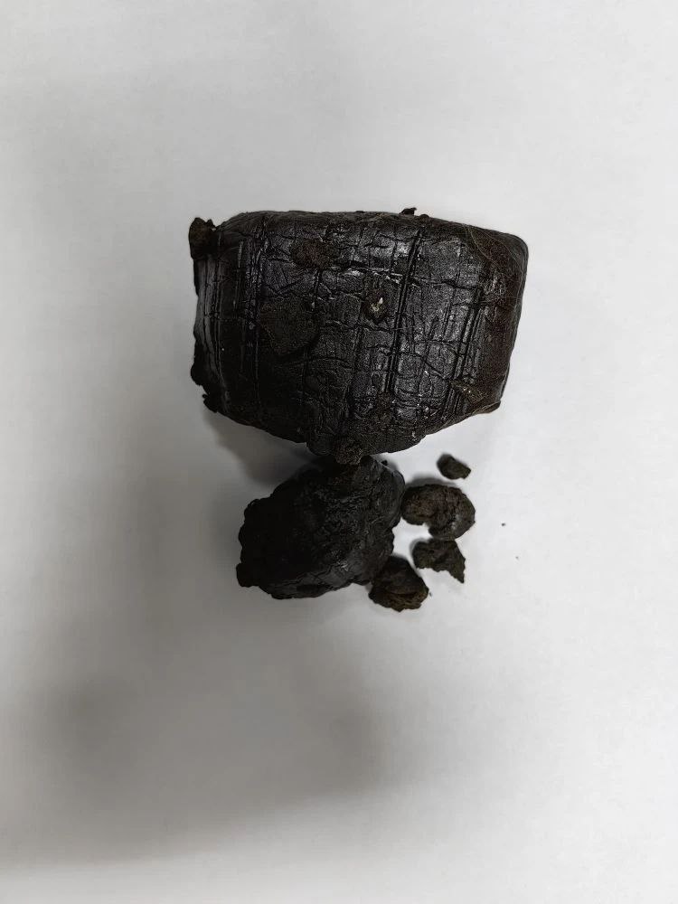 В Пензе полицейские задержали молодого человека с наркотическим средством