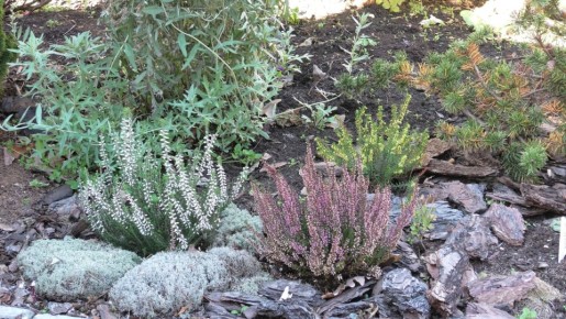 ��� ����������� ������ � ����: ������� ��������� �������