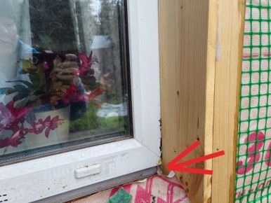 ������ ����� ���� �� ����������� ���� � ��� ��� ���������