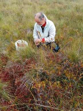 ��� ������� ������: ������������ ������ �� �������� ��������