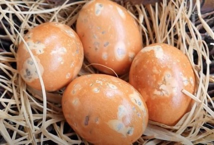 ����������� �����: ��� ��������� ���������� ���� � ������� �������