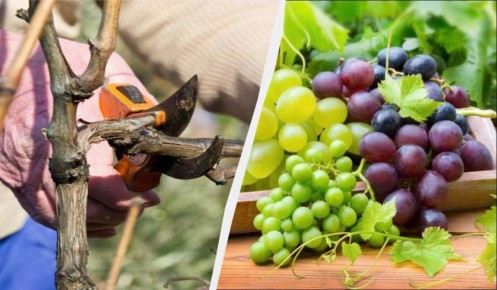 ������ ������ ������� ��������� � ����� �������� ������