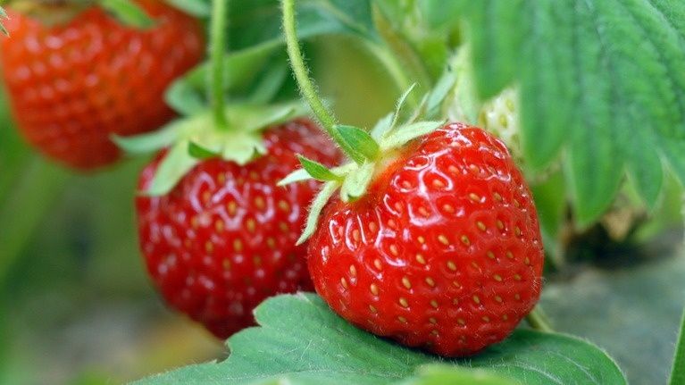 ��� ���������� �������� � ���������: ���������� ���� ��� ��������� ����?