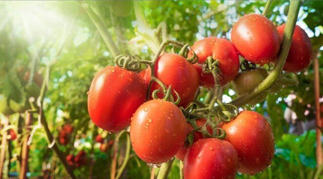 ��� ��������� ������������� ������ � ���� ��� �������� ������