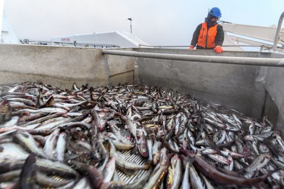 ������� ���������� ����: ��� ���� ������� ����������� �� ������������� �����?