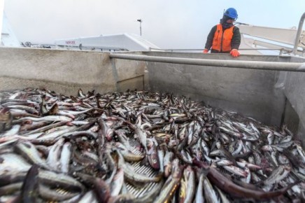 ������� ���������� ����: ��� ���� ������� ����������� �� ������������� �����?