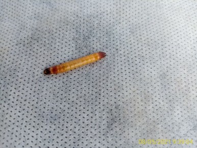 ������ � �������������: ��� ���������� � ����������� ����������