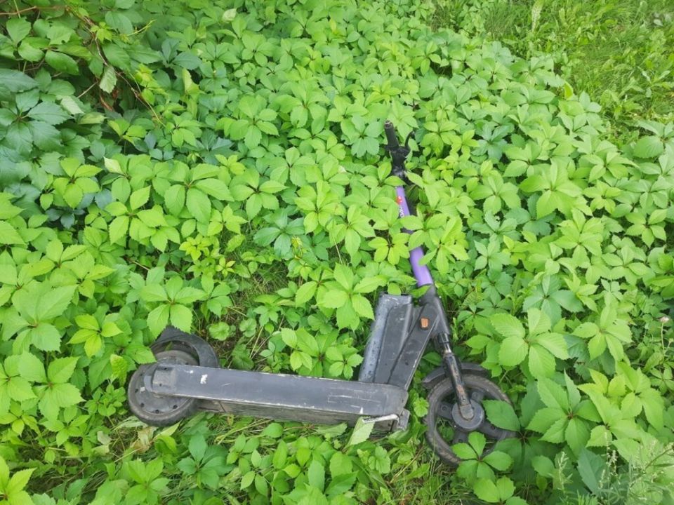 ������ �� ��������� ��������: ��� ���������� ���������������� � 2026 ����