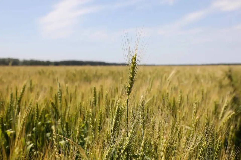 ���� �����������: ��� ��������� �������� ������������ ����� �������� ������ �� ���������� ������� ���������������� � ����� �� ���������� ��������