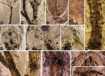 ���������� ������ �� �������: 145 ��������� ��� � ����� ��������