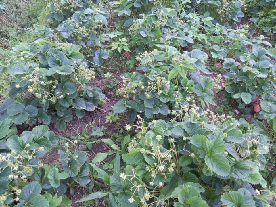 ����� ��������� ��� ��������: ��� �������� ��������� ������