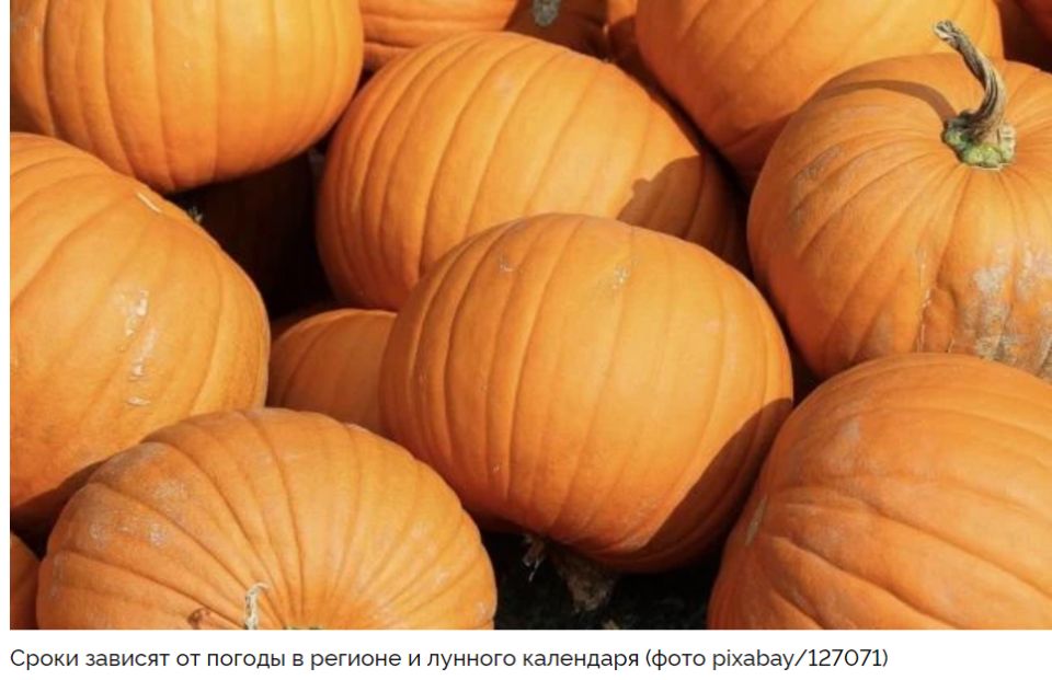 ��� ��������� ���������� ����� ����� �����: ������ � ������������