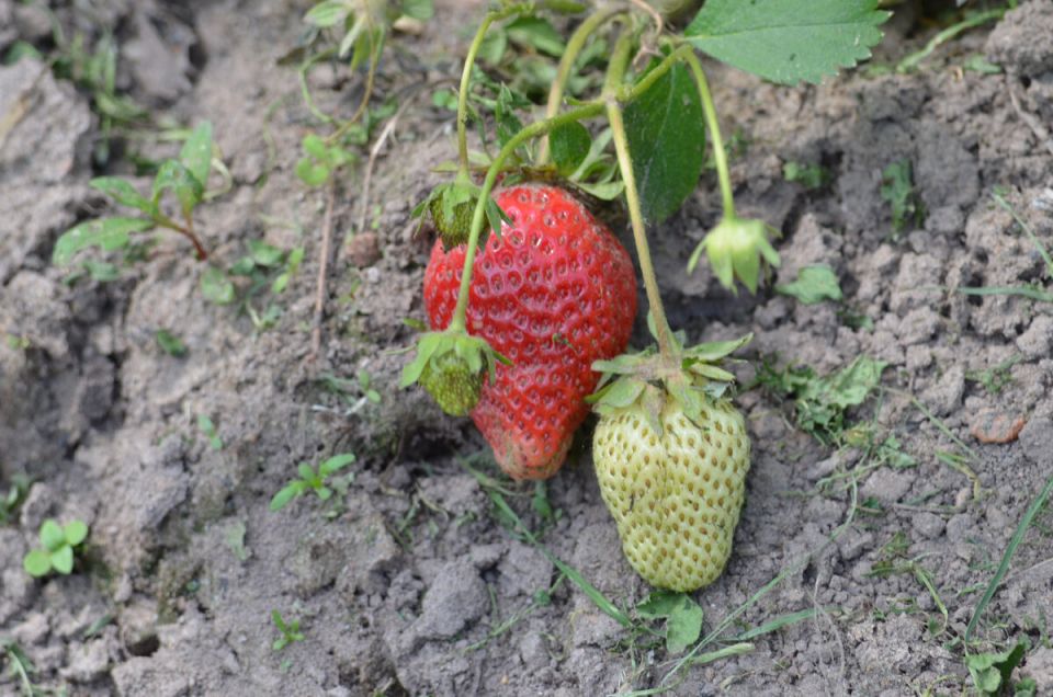 ��� ������� �������� � ����� ������ �� �������� � ������ ������