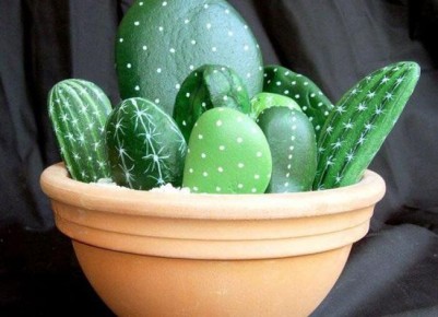 Волшебный мир кактусов: секреты успешного ухода