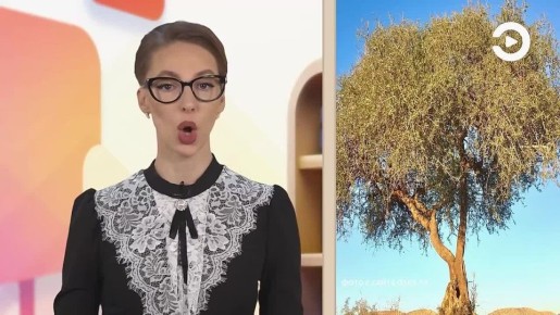 Доброе утро!. Представьте, вы в Марокко