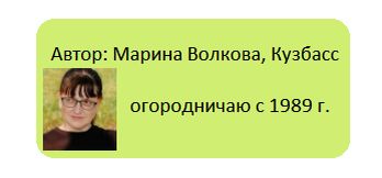 ������� ��������� �������: �����, ��� � ����� ������