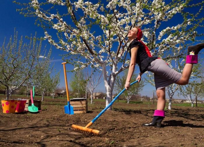 ��� ������ � ���� � ������ ����: ������ ��� ���������