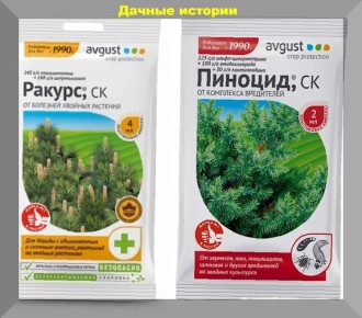 Причины пожелтения хвойных деревьев и советы по уходу