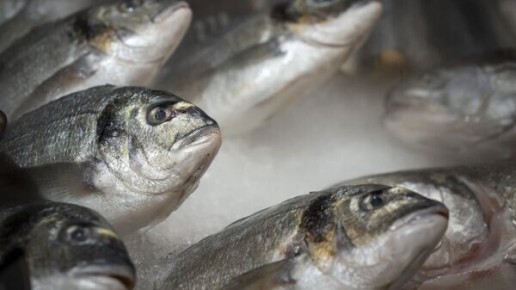 ��� � ����, ������������ �������, ���������: ��� ������������� ����������